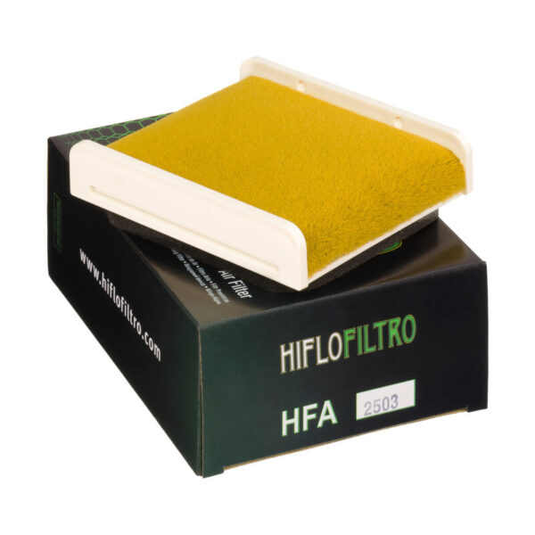 Воздушный фильтр Hiflofiltro HFA2503 2