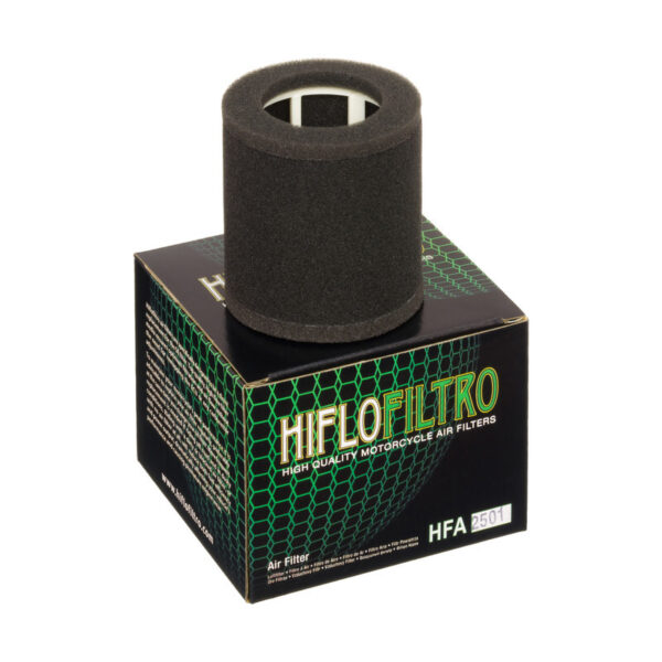 Воздушный фильтр Hiflofiltro HFA2501 3