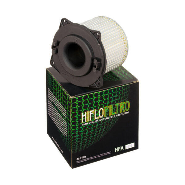 Воздушный фильтр Hiflofiltro HFA3603 5
