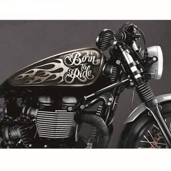 Наклейка защитная на бак мотоцикла “Born to Ride” 3