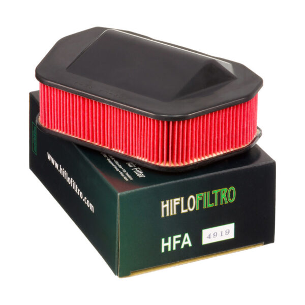 Воздушный фильтр Hiflofiltro HFA4919 2